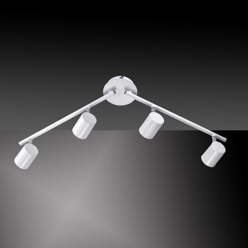 Leuchten Direkt 11944-16 - LED Spotlight TARIK 4xGU10/5W/230V white