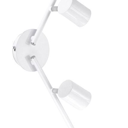 Leuchten Direkt 11944-16 - LED Spotlight TARIK 4xGU10/5W/230V white