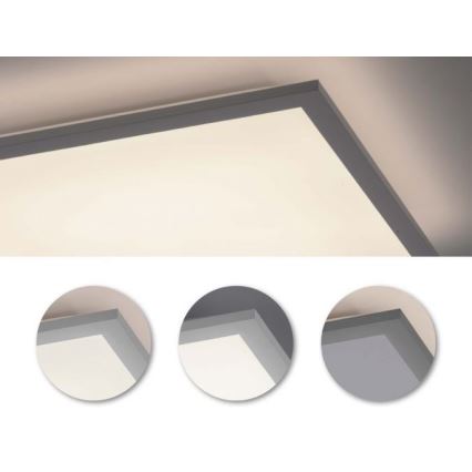 Leuchten Direkt 12204-16 - LED Surface-mounted panel FLAT LED/24W/230V