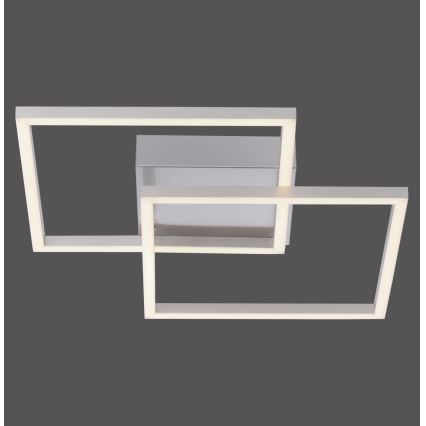 Leuchten Direkt 14002-55 - LED Ceiling light IVEN 2xLED/7W/230V