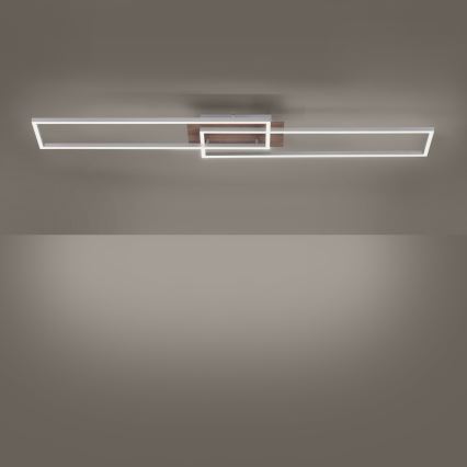 Leuchten Direkt 14019-78 - LED Dimming ceiling light IVEN 2xLED/20W/230V + remote control