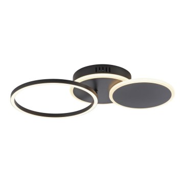 Leuchten Direkt 14116-18 - LED Ceiling light SEVENT LED/25,5W/230V black