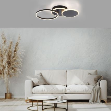 Leuchten Direkt 14116-18 - LED Ceiling light SEVENT LED/25,5W/230V black