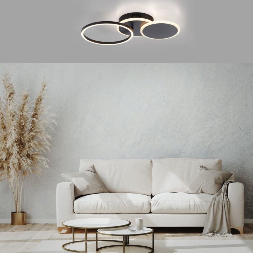 Leuchten Direkt 14116-18 - LED Ceiling light SEVENT LED/25,5W/230V black