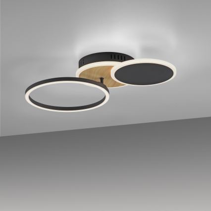 Leuchten Direkt 14116-78 - LED Ceiling light SEVENT LED/25,5W/230V black/brown