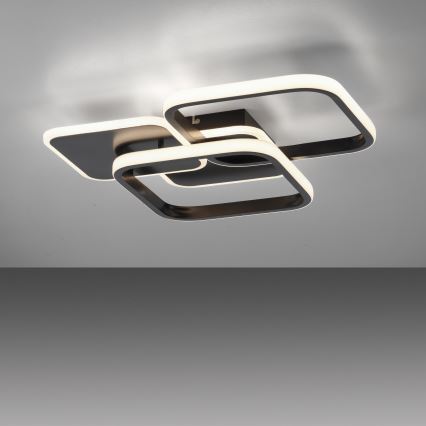 Leuchten Direkt 14117-18 - LED Ceiling light SEVENT LED/36W/230V black