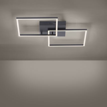Leuchten Direkt 14141-18 - LED Dimmable ceiling light IVEN 2xLED/14W/230V + remote controller