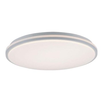 Leuchten Direkt 14208-16 - LED Dimmable ceiling light COLIN LED/18W/230V