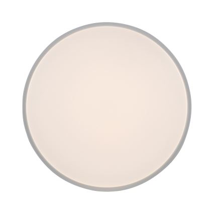 Leuchten Direkt 14209-16 - LED Dimmable ceiling light COLIN LED/32,4W/230V