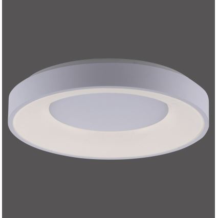 Leuchten Direkt 14326-16 - LED Dimming ceiling light ANIKA LED/30W/230V + remote control