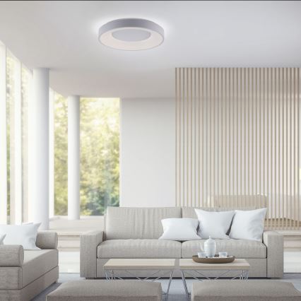 Leuchten Direkt 14326-16 - LED Dimming ceiling light ANIKA LED/30W/230V + remote control
