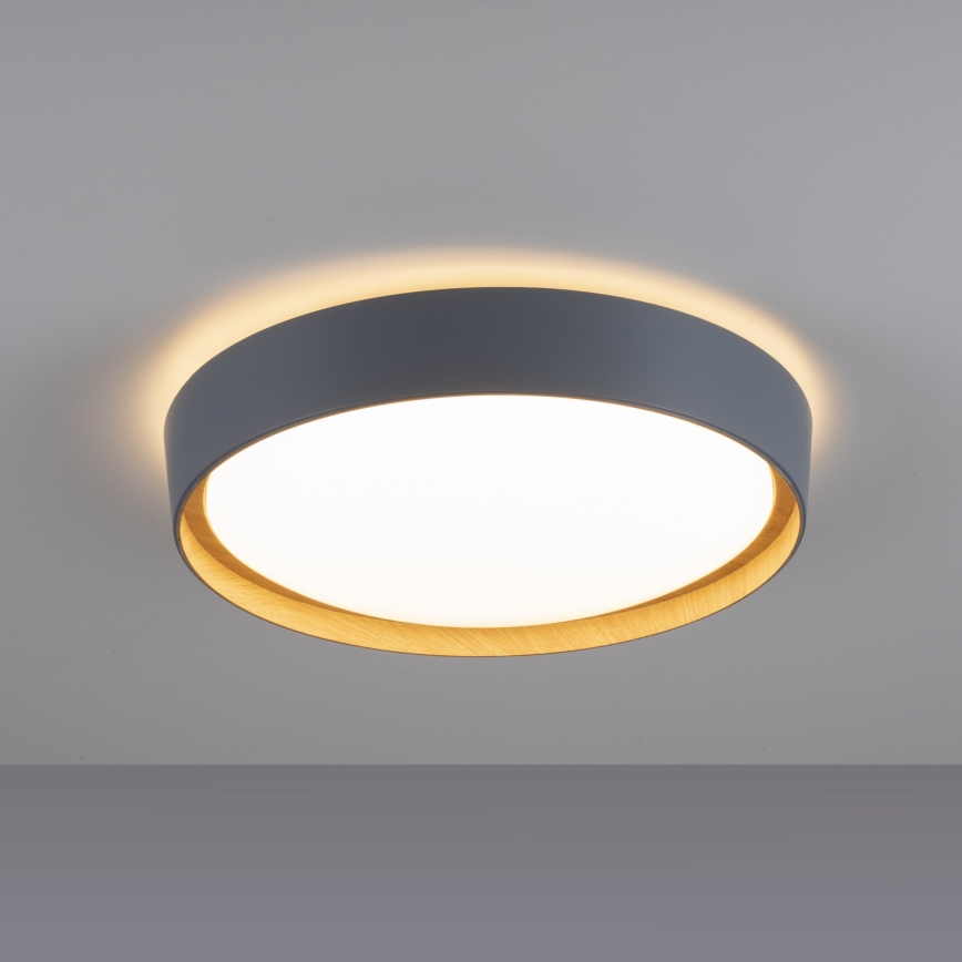 Leuchten Direkt 14347-15 - LED Dimmable ceiling light EMILIA LED/28,8W/230V grey