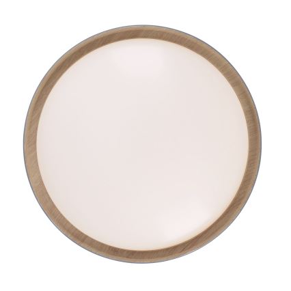Leuchten Direkt 14347-15 - LED Dimmable ceiling light EMILIA LED/28,8W/230V grey