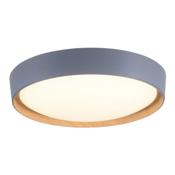 Leuchten Direkt 14347-15 - LED Dimmable ceiling light EMILIA LED/28,8W/230V grey