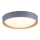 Leuchten Direkt 14347-15 - LED Dimmable ceiling light EMILIA LED/28,8W/230V grey