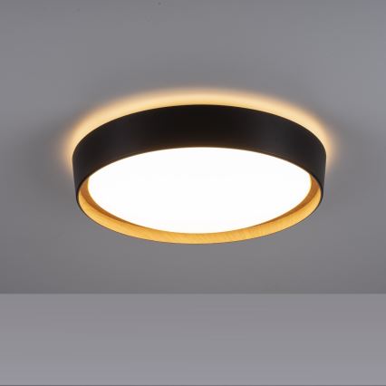 Leuchten Direkt 14347-18 - LED Dimmable light EMILIA LED/28,8W/230V black