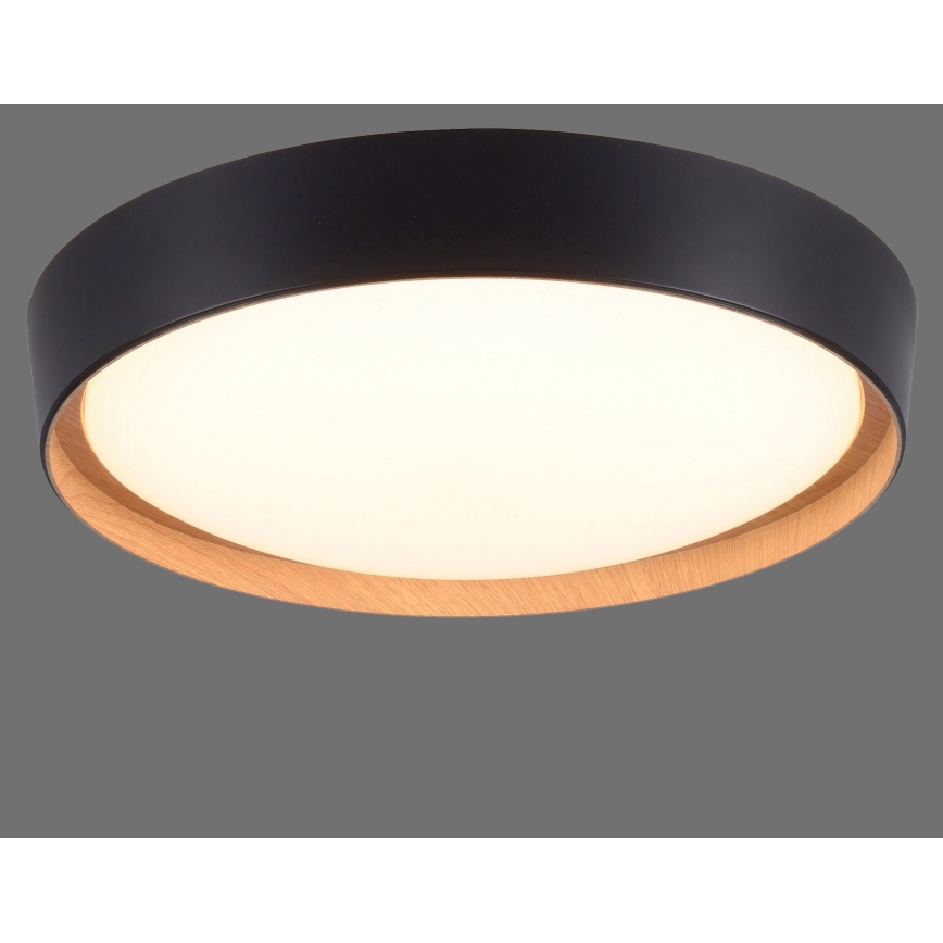 Leuchten Direkt 14347-18 - LED Dimmable light EMILIA LED/28,8W/230V black