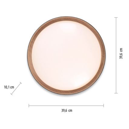 Leuchten Direkt 14347-18 - LED Dimmable light EMILIA LED/28,8W/230V black