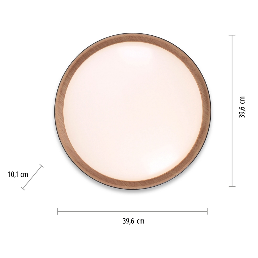 Leuchten Direkt 14347-18 - LED Dimmable light EMILIA LED/28,8W/230V black