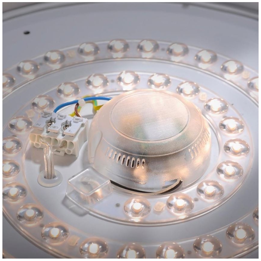 Leuchten Direkt 14422-17 - LED Bathroom ceiling light with a sensor LAVINIA LED/18W/230V IP44