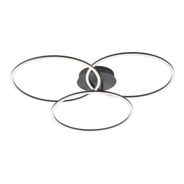 Leuchten Direkt 14539-18 - LED Dimming ceiling light IVANKA 3xLED/12W/230V