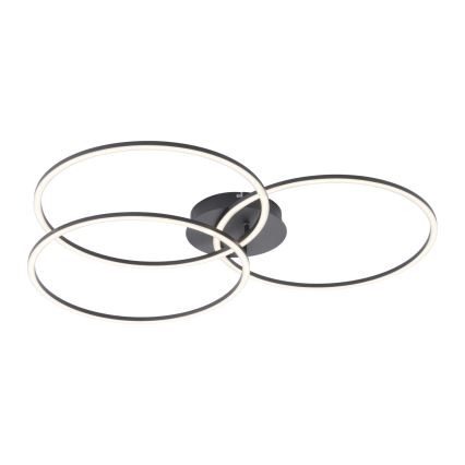 Leuchten Direkt 14539-18 - LED Dimming ceiling light IVANKA 3xLED/12W/230V