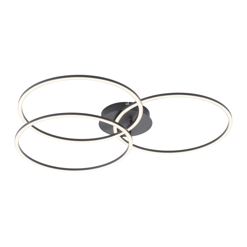 Leuchten Direkt 14539-18 - LED Dimming ceiling light IVANKA 3xLED/12W/230V