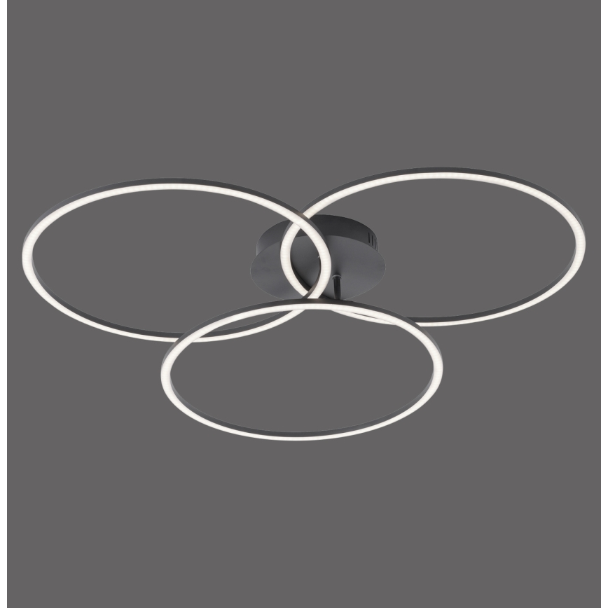 Leuchten Direkt 14539-18 - LED Dimming ceiling light IVANKA 3xLED/12W/230V