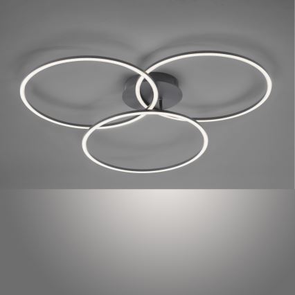 Leuchten Direkt 14539-18 - LED Dimming ceiling light IVANKA 3xLED/12W/230V