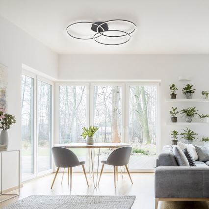 Leuchten Direkt 14539-18 - LED Dimming ceiling light IVANKA 3xLED/12W/230V
