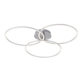 Leuchten Direkt 14539-55 - LED Dimming ceiling light IVANKA 3xLED/12W/230V