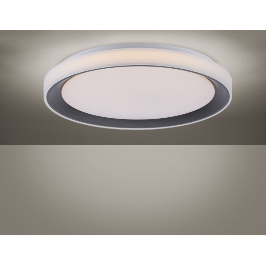 Leuchten Direkt 14659-18 - LED RGB Dimming ceiling light LOLA LED/24W/230V Tuya + remote control