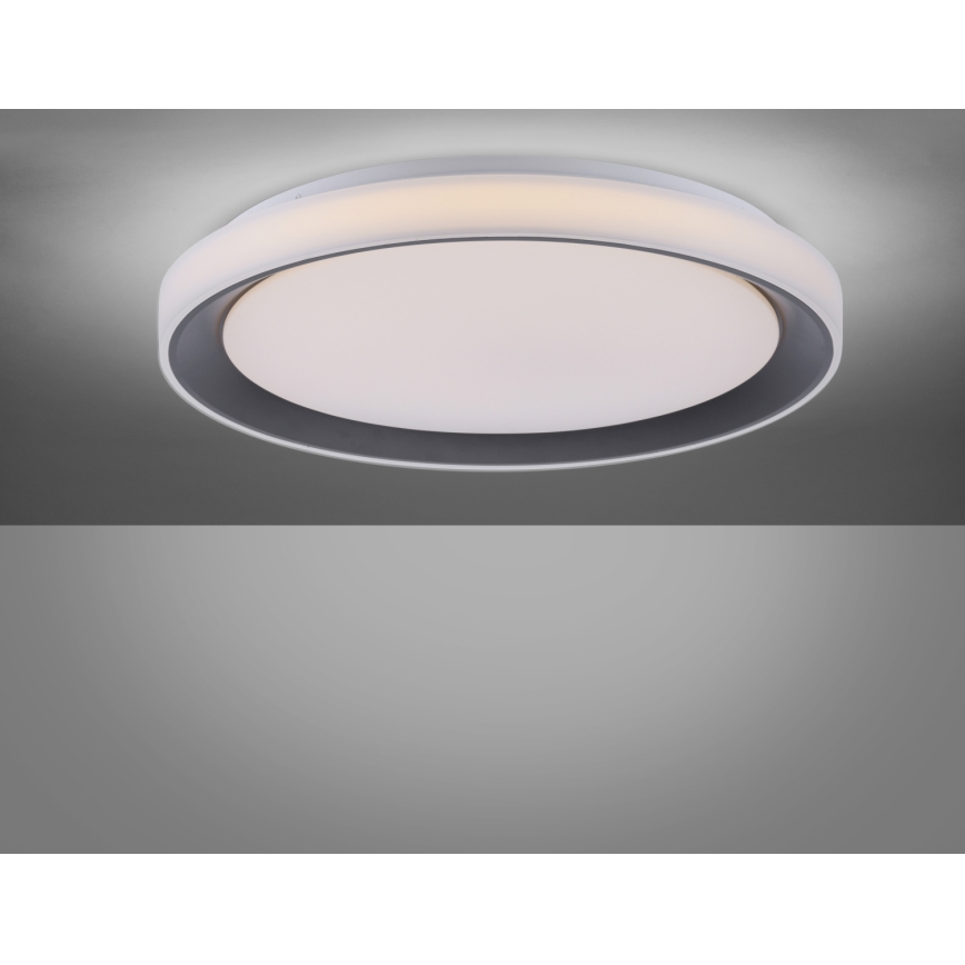 Leuchten Direkt 14659-18 - LED RGB Dimming ceiling light LOLA LED/24W/230V Tuya + remote control
