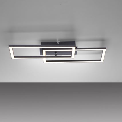 Leuchten Direkt 14692-18 - LED Dimmable ceiling light IVEN LED/36W/230V