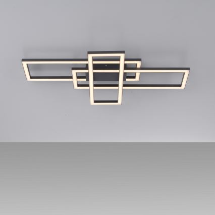 Leuchten Direkt 14697-18 - LED Dimmable ceiling light IVEN LED/24W/230V