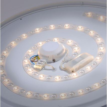 Leuchten Direkt 14822-17 - LED Bathroom ceiling light with a sensor LAVINIA LED/40W/230V IP44