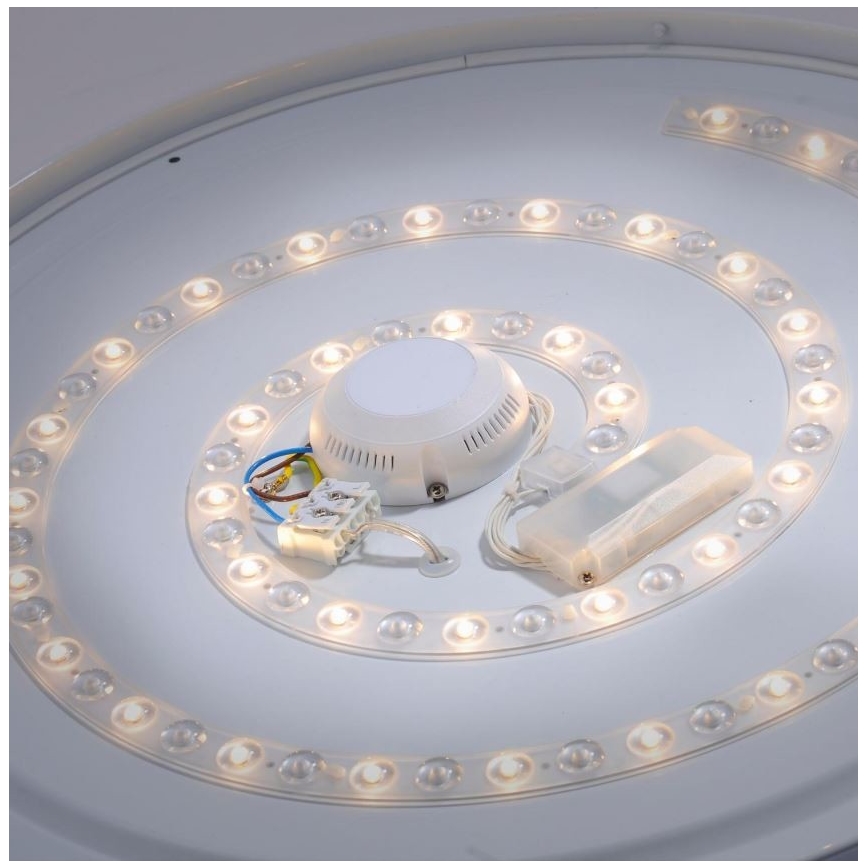 Leuchten Direkt 14822-17 - LED Bathroom ceiling light with a sensor LAVINIA LED/40W/230V IP44