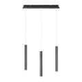 Leuchten Direkt 15203-18 - LED Chandelier on a string 3xLED/4,8W/230V black