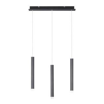 Leuchten Direkt 15203-18 - LED Chandelier on a string 3xLED/4,8W/230V black