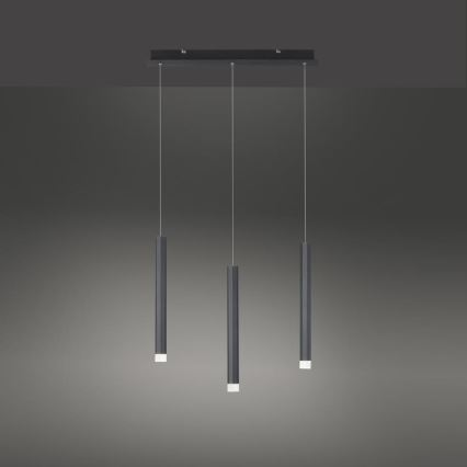 Leuchten Direkt 15203-18 - LED Chandelier on a string 3xLED/4,8W/230V black