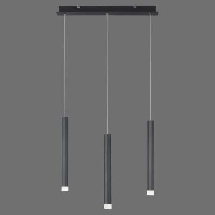 Leuchten Direkt 15203-18 - LED Chandelier on a string 3xLED/4,8W/230V black