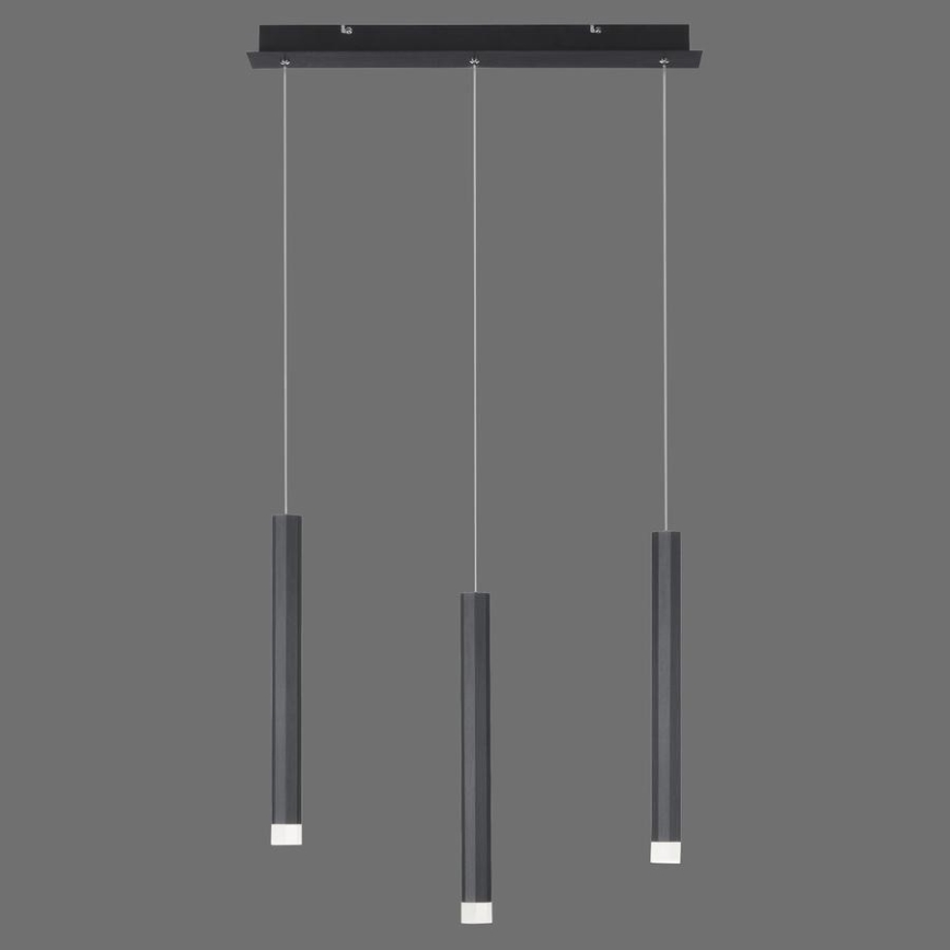 Leuchten Direkt 15203-18 - LED Chandelier on a string 3xLED/4,8W/230V black