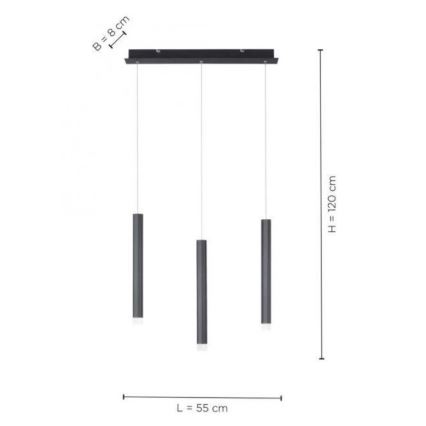 Leuchten Direkt 15203-18 - LED Chandelier on a string 3xLED/4,8W/230V black