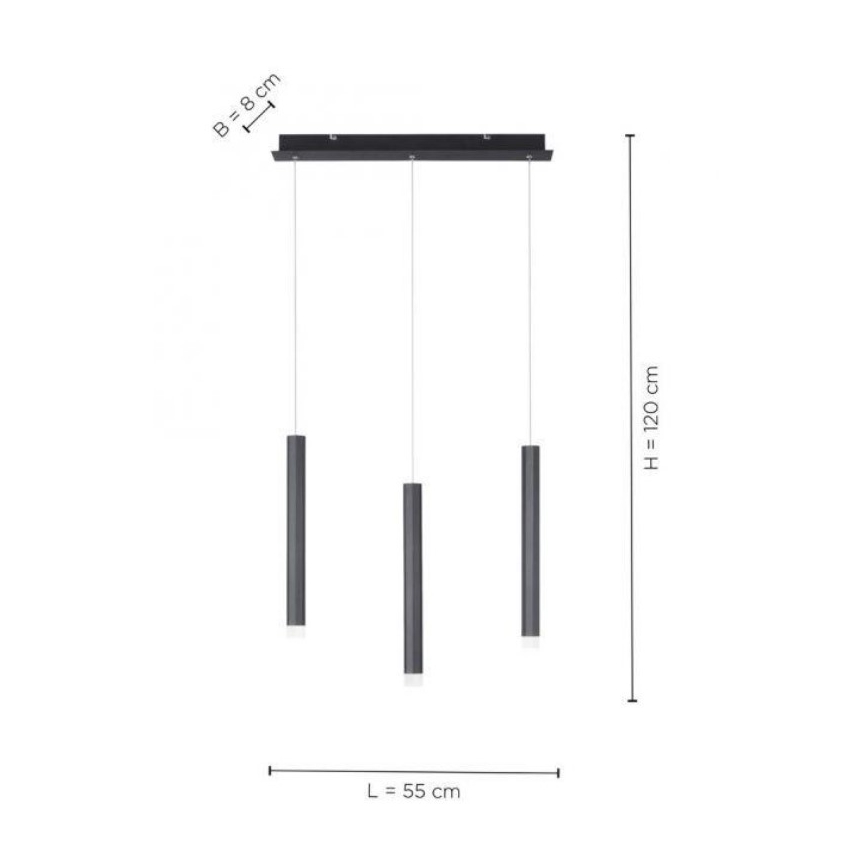 Leuchten Direkt 15203-18 - LED Chandelier on a string 3xLED/4,8W/230V black
