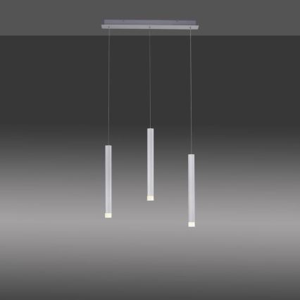 Leuchten Direkt 15203-95 - LED Chandelier on a string BRUNO 3xLED/4,8W/230V white