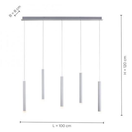 Leuchten Direkt 15205-95 - LED Chandelier on a string BRUNO 5xLED/4,8W/230V