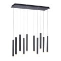 Leuchten Direkt 15206-18 - LED Chandelier on a string 10xLED/4,8W/230V black