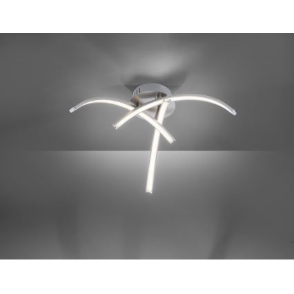Leuchten Direkt 15341-55 - LED Surface-mounted chandelier VALERIE 3xLED/3,7W/230V