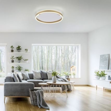 Leuchten Direkt 15391-60 - LED Dimmable ceiling light RITUS LED/20W/230V brass