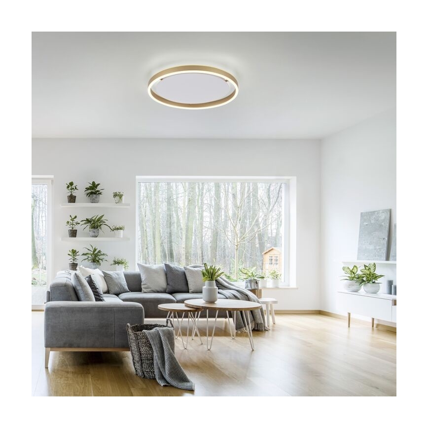 Leuchten Direkt 15391-60 - LED Dimmable ceiling light RITUS LED/20W/230V brass